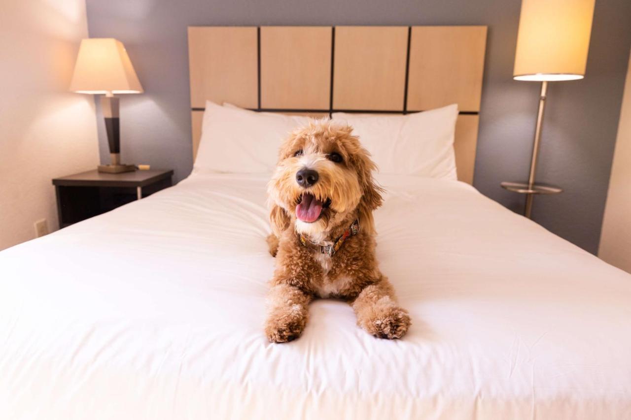 Sonesta Simply Suites Atlanta Gwinnett Place Duluth Exteriör bild